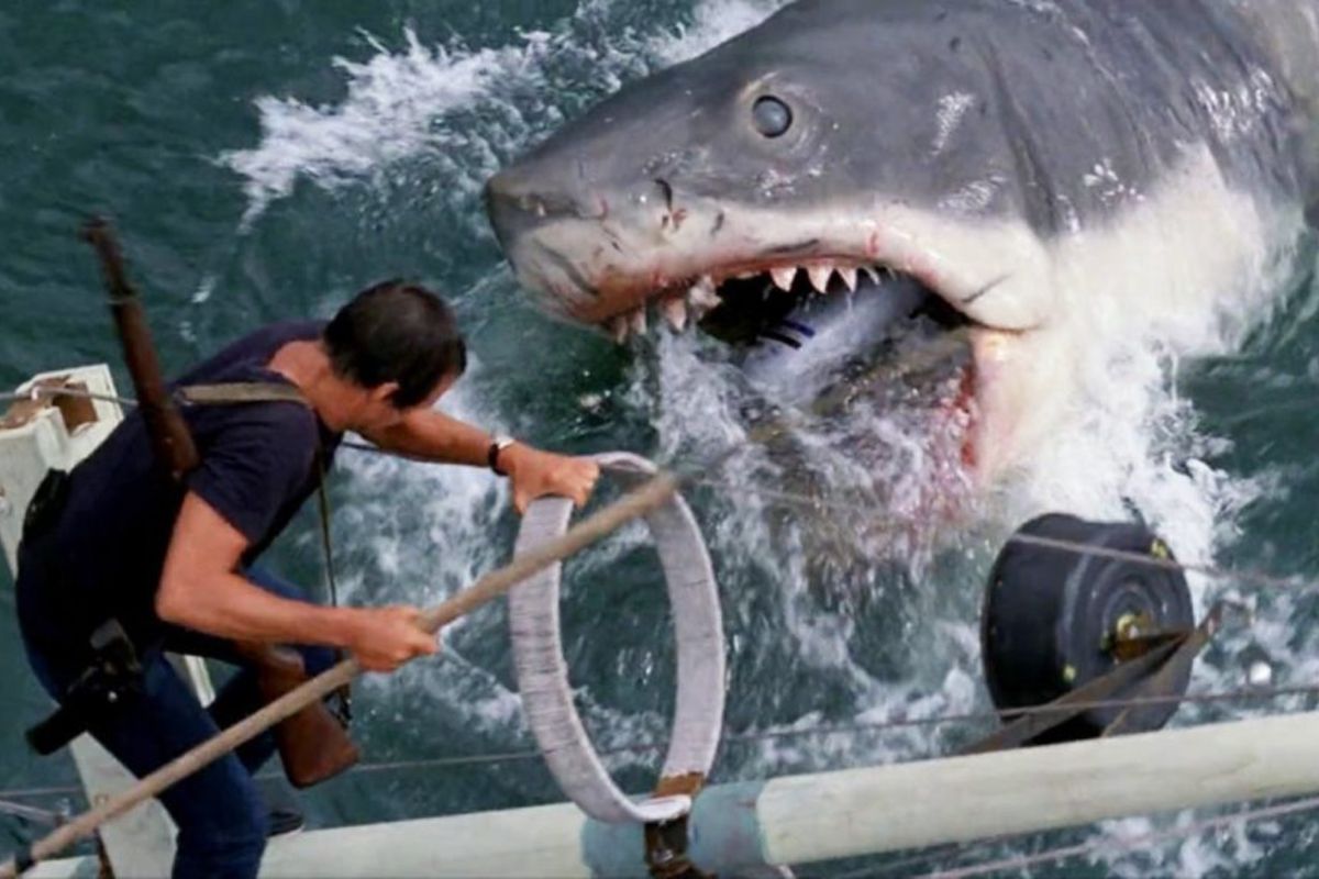 Jaws (1975)