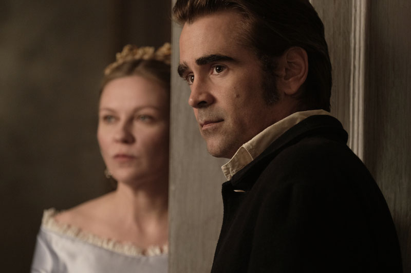 The Beguiled