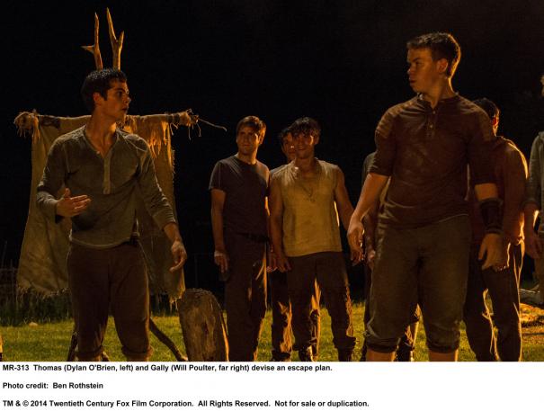 The Maze Runner