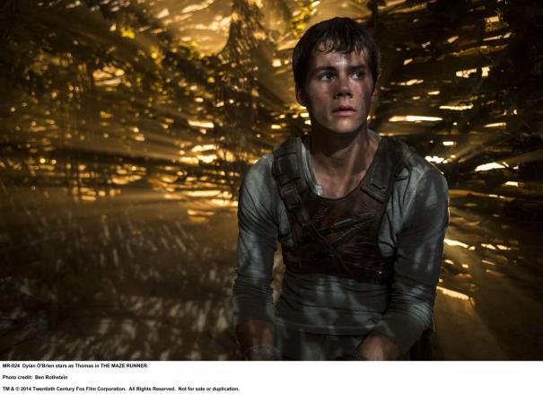 The Maze Runner