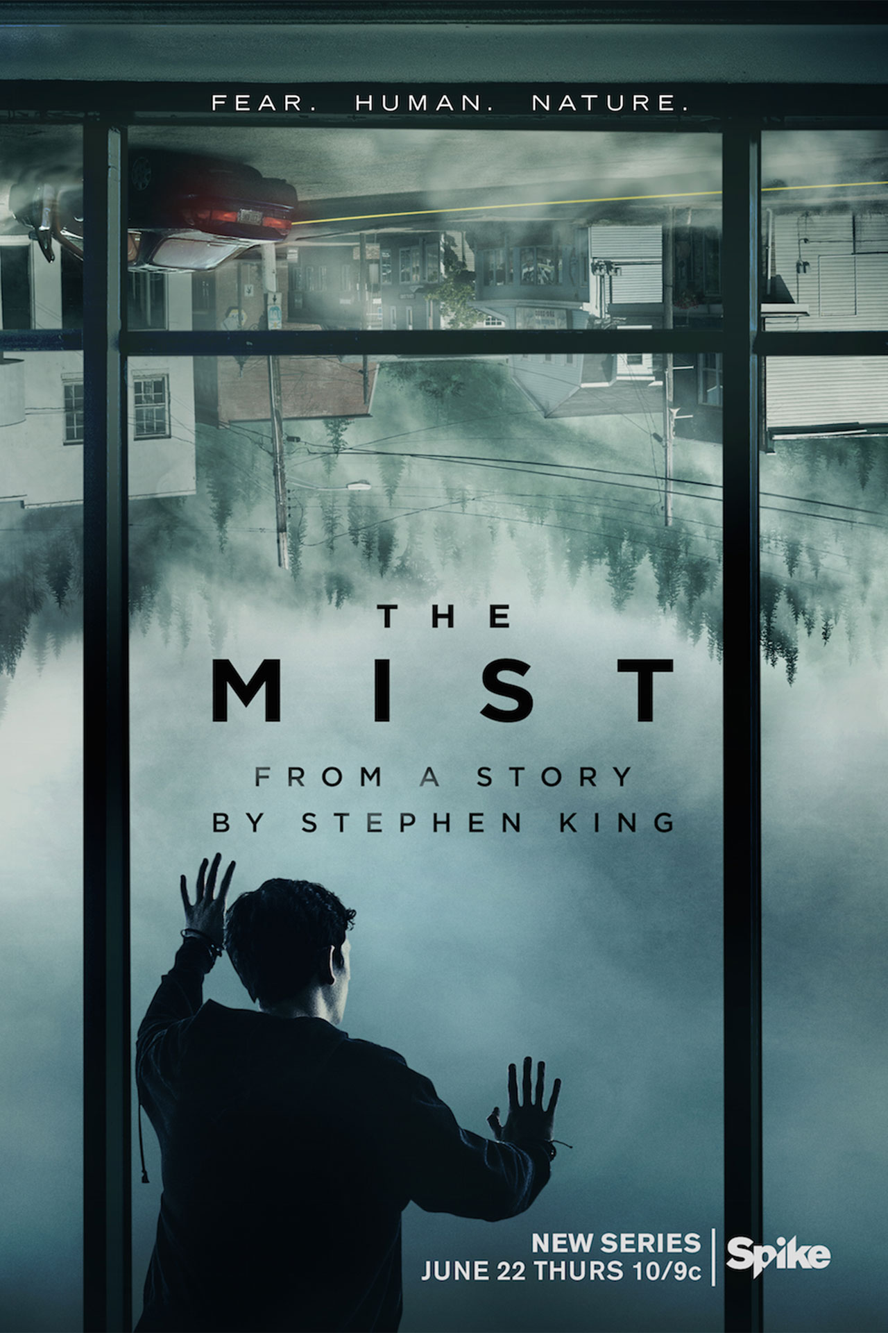 The Mist