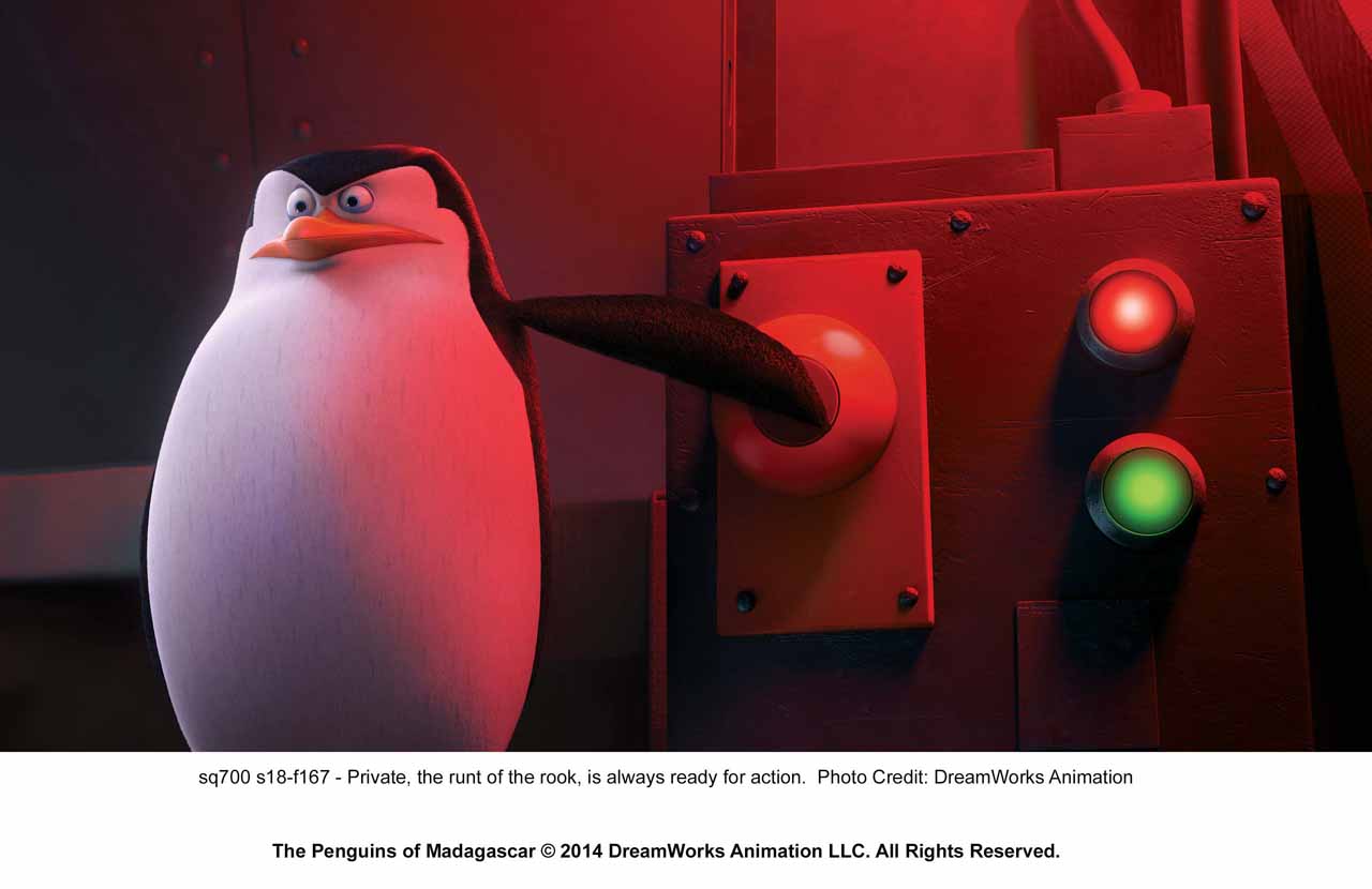 THE PENGUINS OF MADAGASCAR