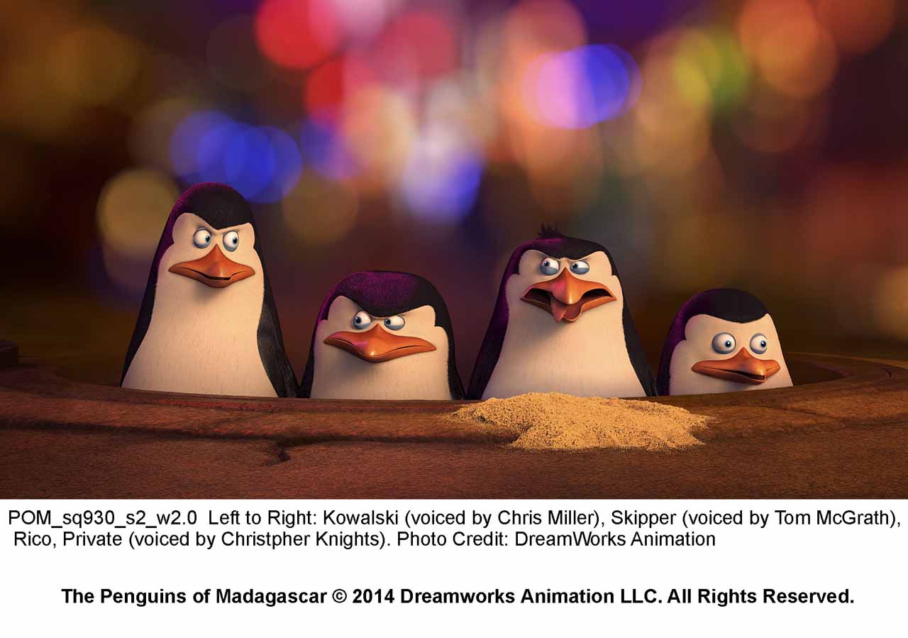 THE PENGUINS OF MADAGASCAR