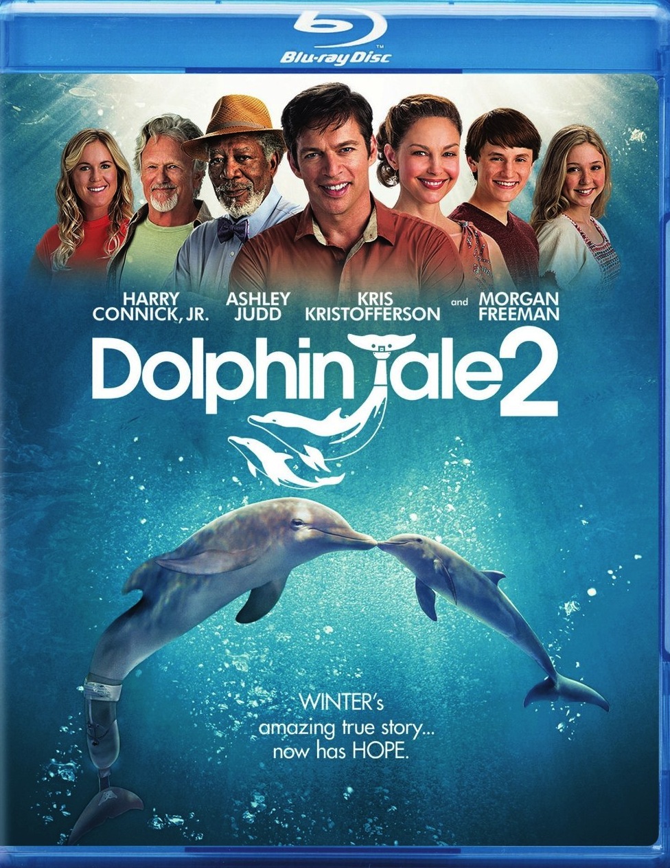 Dolphin Tale 2